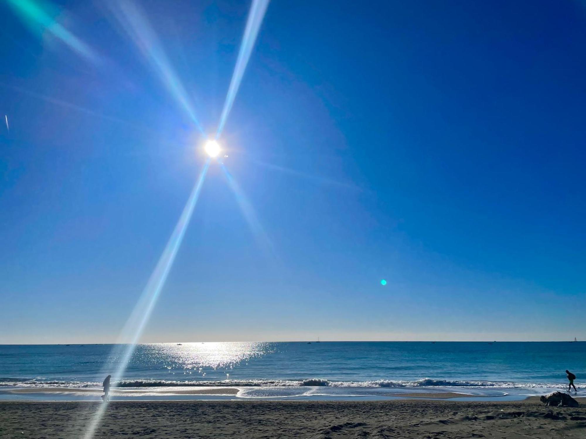 La Bouganville Apartment Lido di Ostia